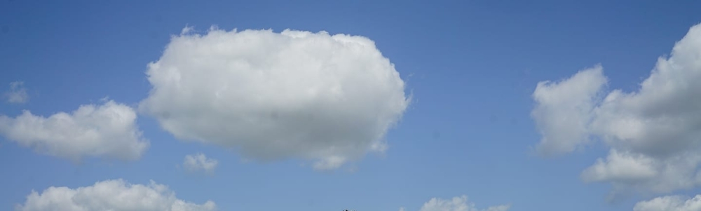 User banner image